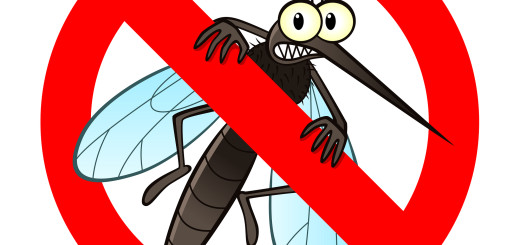 Anti Mosquito Sign