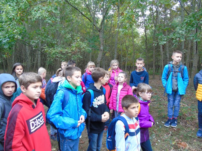Sziágy7