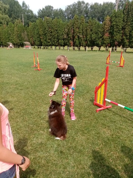 Agility bemutató