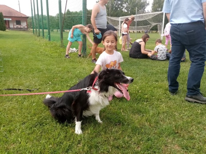 Agility bemutató