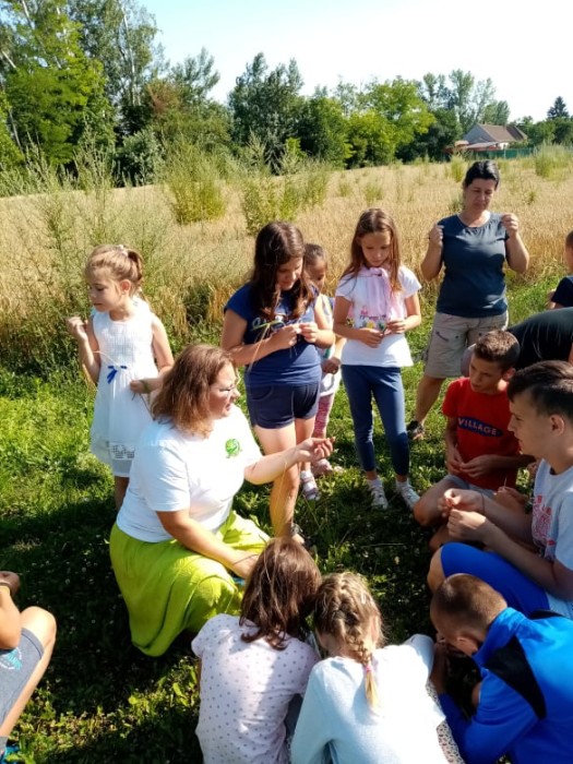 Gyógynövények a környékünkön- a Sudár-Birtok ismeretterjesztő foglalkozása