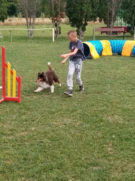 Agility bemutató