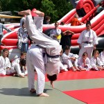 NICSI Judo