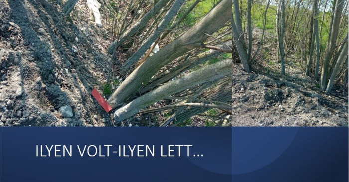 ilyen volt ilyen lett 2023
