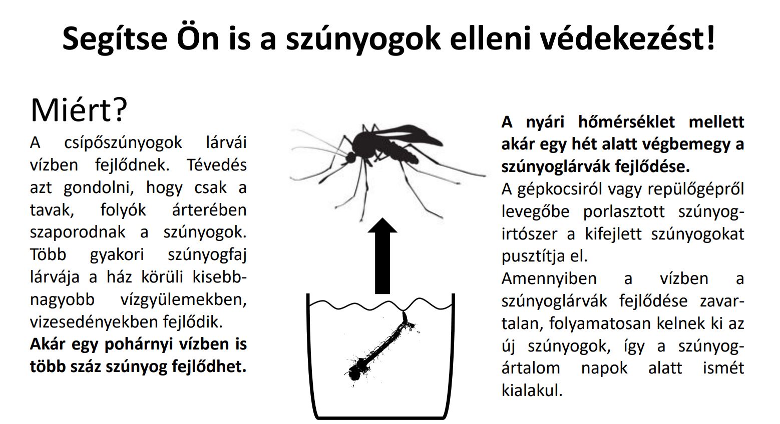 szúnyogirtás tájékoztató 1