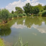 kisbodaki tórendszer