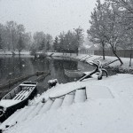 IMG_9395-min-1-scaled