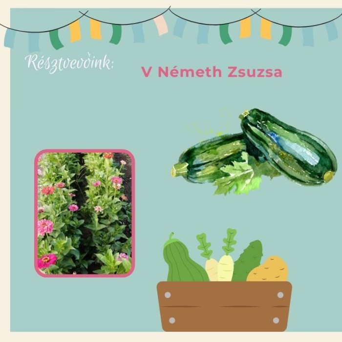 V Németh Zsuzsa