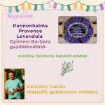 PANNONHALMA PROVENCE LEVENDULA