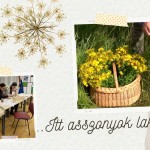 Vámosszabadi bútorfestő szakkör